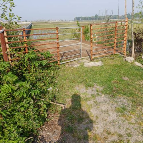 فروش زمین به مساحت 1000 متر هشت متری به بافت  بهترین جا برای سرمایه گذاری