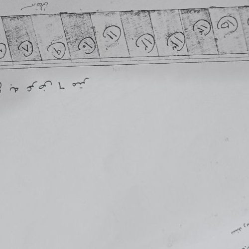 زمین خام 1000