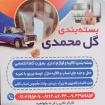 باربرگل محمدی و بسته‌بندی