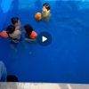 اجاره روزانه باغ  ویلا سویت شاهرود
