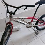 دوچرخه ماکسیما 22 حرفه