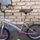 دوتادوچرخه 16و20