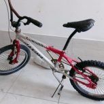 دوچرخه ماکسیما 22