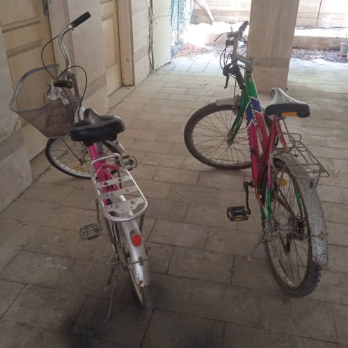 دو عدد دوچرخه