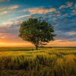 کارگاه لباس