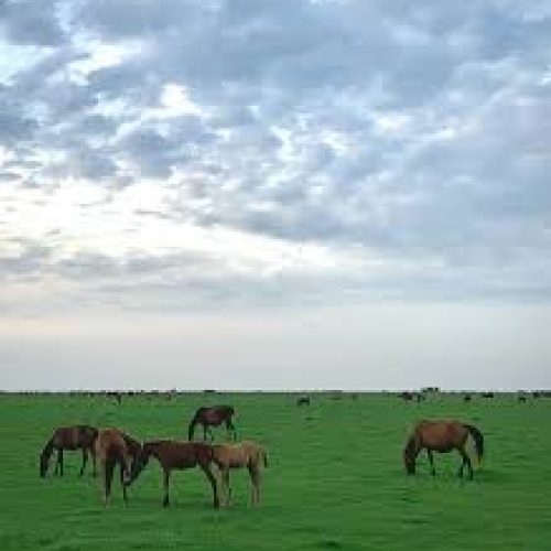 زمین مسکونی 2بر سند تک برگ بر جاده اصلی