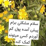 گل تزیینی عکس