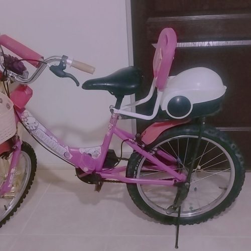 دوچرخه نمره 20