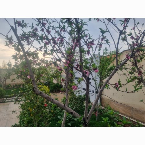 ویلا مدرن در منطقه سرسبز ماهدشت