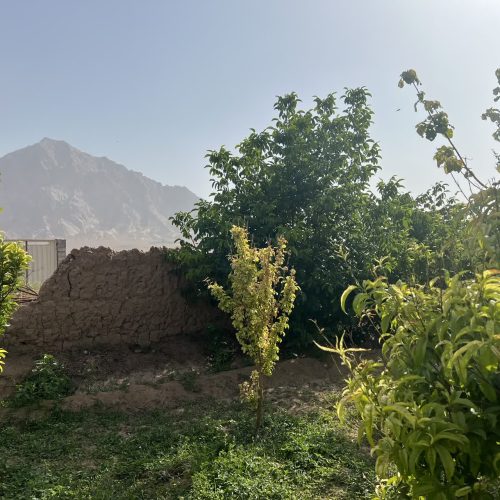 باغ با درختان میوه با یک ساعت آب چاه سرو