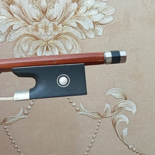 ویولن دانش آموزی TF