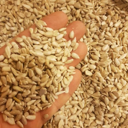 فروش مستقیم انواع مغز تخمه