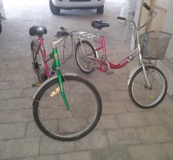 دو عدد دوچرخه