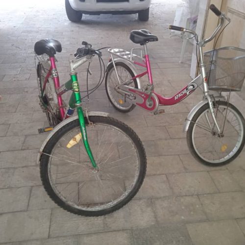 دو عدد دوچرخه