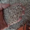 فروش مستقیم انواع مغز تخمه