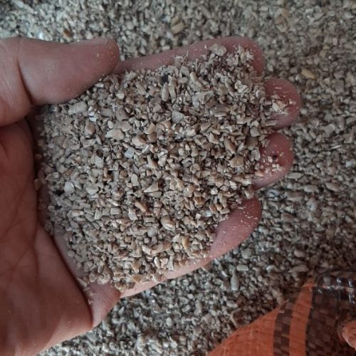 فروش مستقیم انواع مغز تخمه
