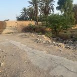 زمین در بمپور روبه‌رو. پارگینک