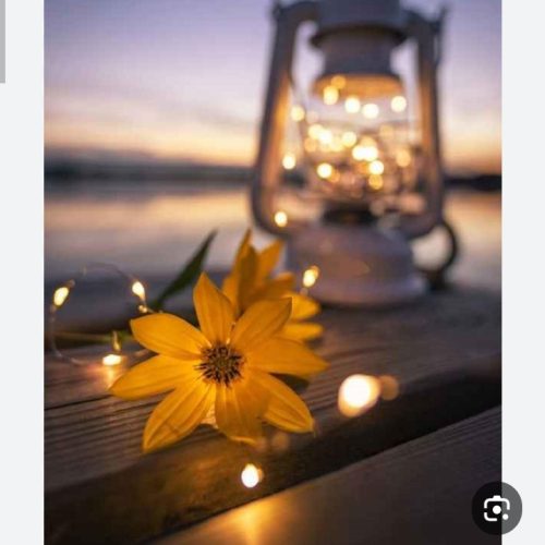 نظافت منزل ویلا ساختمان واداری و…