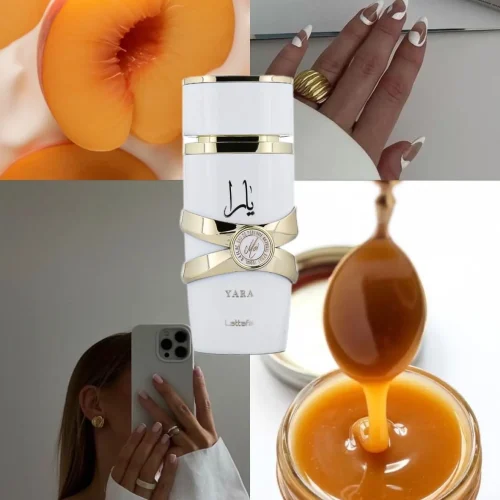 آرایش و بهداشتی و عطر و ادکلن