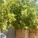 فروش خونه ویلایی بدون مشابه