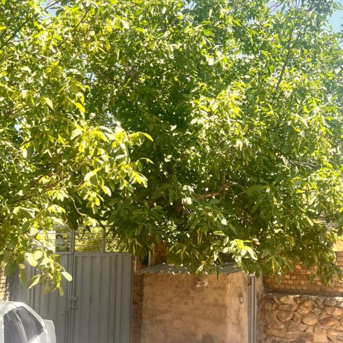 فروش خونه ویلایی بدون مشابه