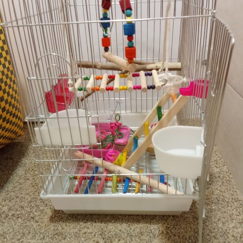 قفس 🐦 پرنده