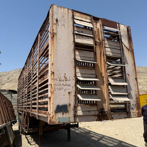 تریلی حمل دام