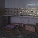 استاکاشی کار