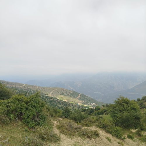 فروش زمین در ییلاق سوادکوه روستای پیشین واله
