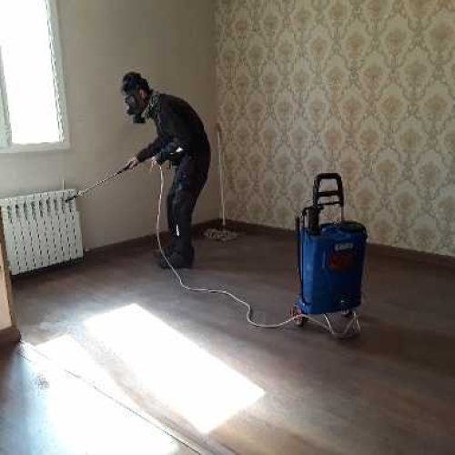 سمپاشی ساس کنه مایت سوسک