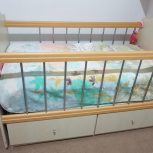 تخت گهواره شوومیزتحریرجادارام دی آف اپادانا