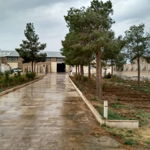 زمین حدود ۷۰۰۰ متری دو بر
