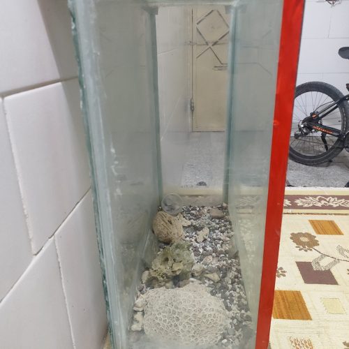 آکواریوم تمیز و سالم