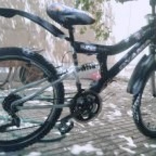 دوچرخه سواری