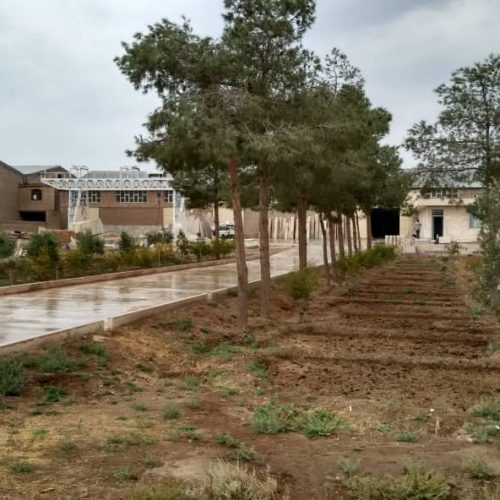 زمین حدود ۷۰۰۰ متری دو بر