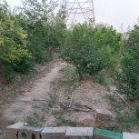 فروش باغ 550