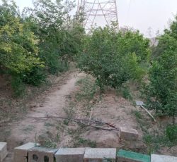 فروش باغ 550