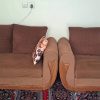 مبل راحتی 9 نفره