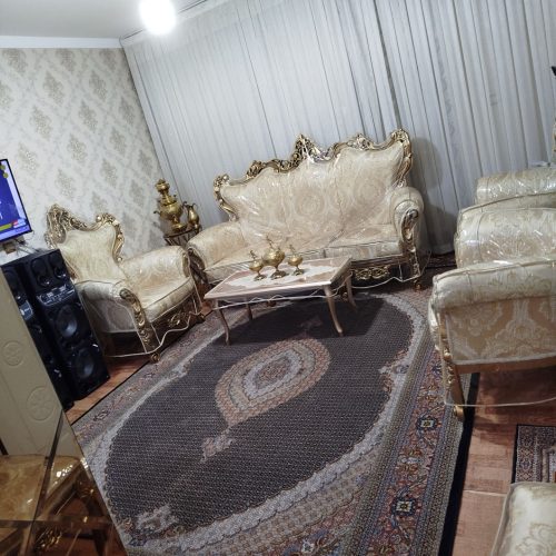 فروش آپارتمان 55متری داروپخش طبقه اول