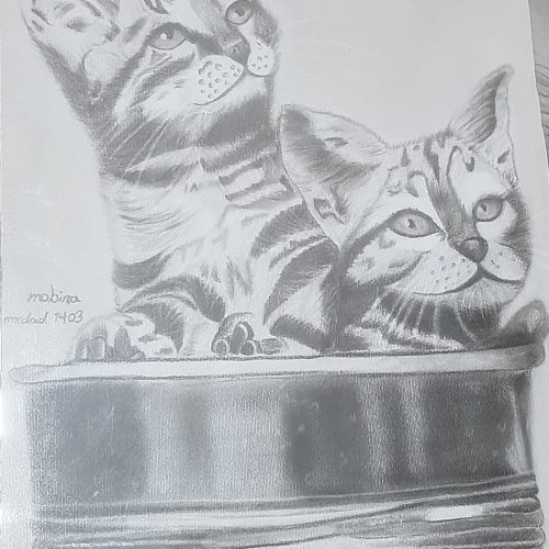 طرح های مختلف سیاه قلم