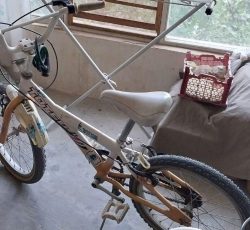 دوچرخه ساده سایز 20