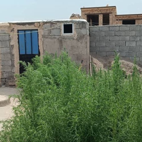 یک باب ساختمان