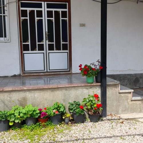 اجاره روزانه ویلا تمیز دالخانی