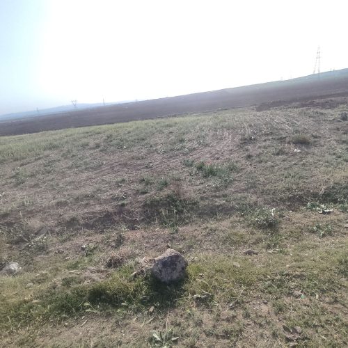 1300 متر زمین معاوضه هم دارم با خودرو