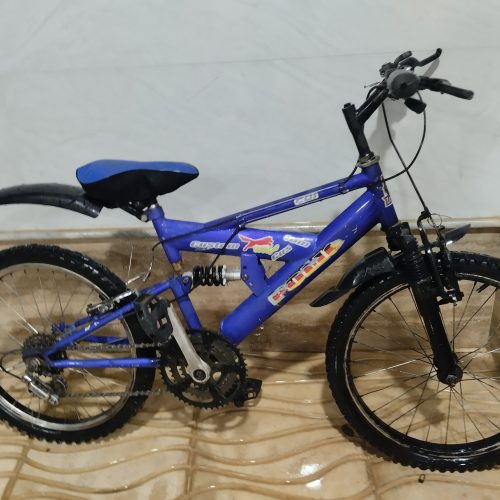 دوچرخه بیست