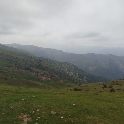 فروش زمین در ییلاق سوادکوه روستای پیشین واله