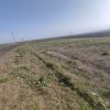 1300 متر زمین معاوضه هم دارم با خودرو