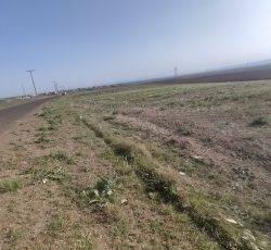 1300 متر زمین معاوضه هم دارم با خودرو