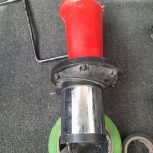 بوق گاوی