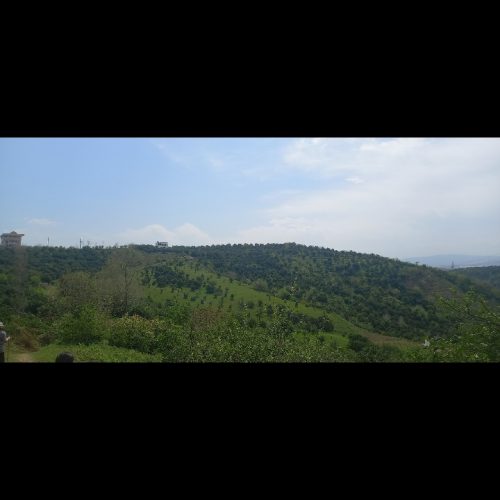 فروش زمین با ویوی عالی سرسبز نزدیک به پارک جنگلی